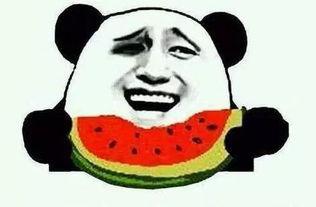 吃瓜群众看娱乐新闻